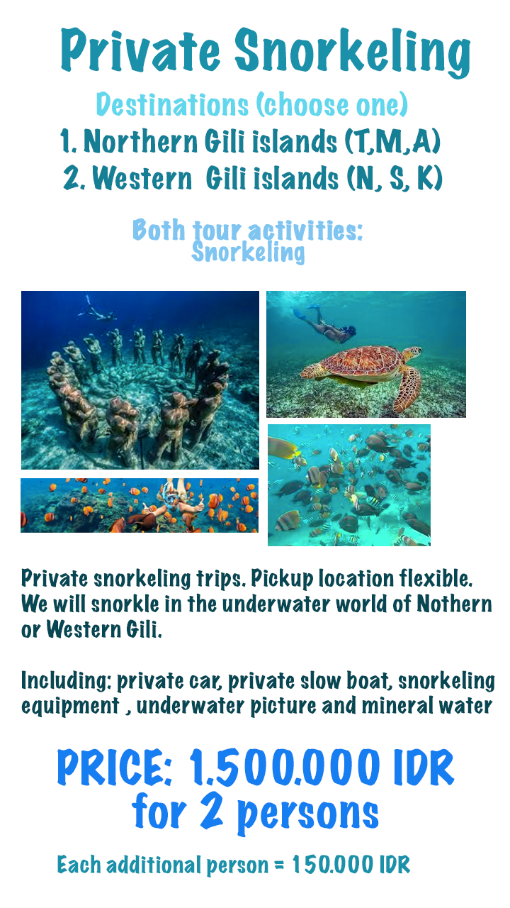 Private-snorkeling-tours